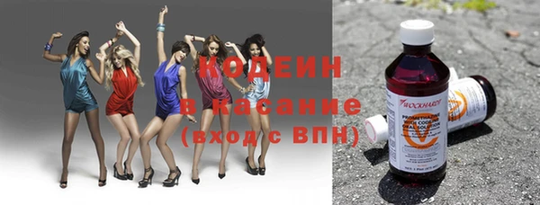 apvp Вяземский