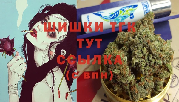 apvp Вяземский