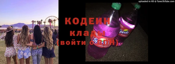 apvp Вяземский