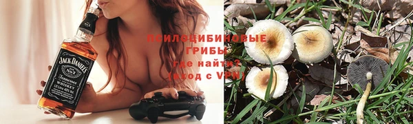 apvp Вяземский