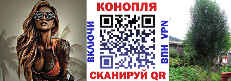 Бошки марихуана THC 21%  Краснокаменск 